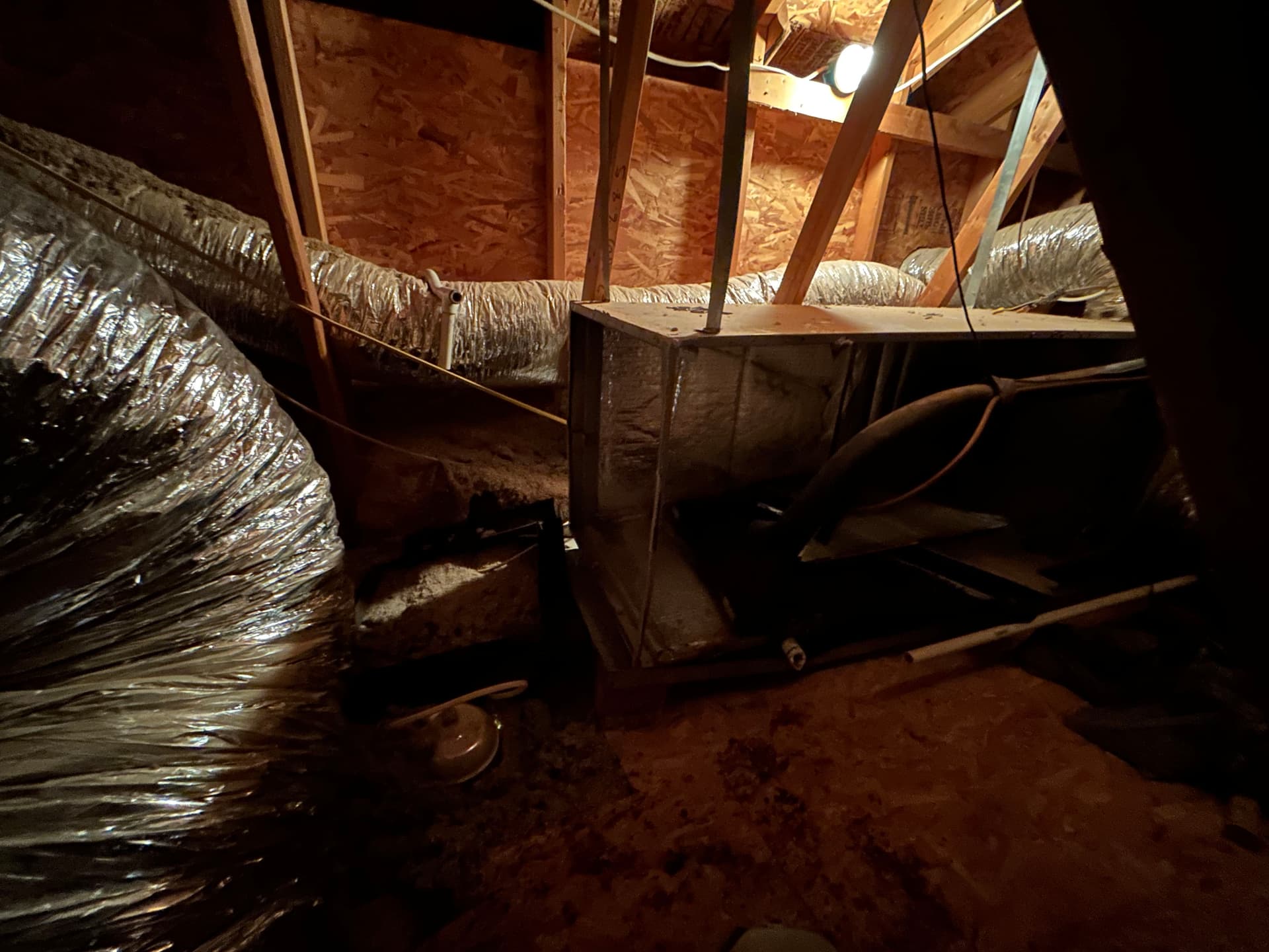 Gallery photos for What a Neglected HVAC Coil Does to Your Indoor Air: Image #1