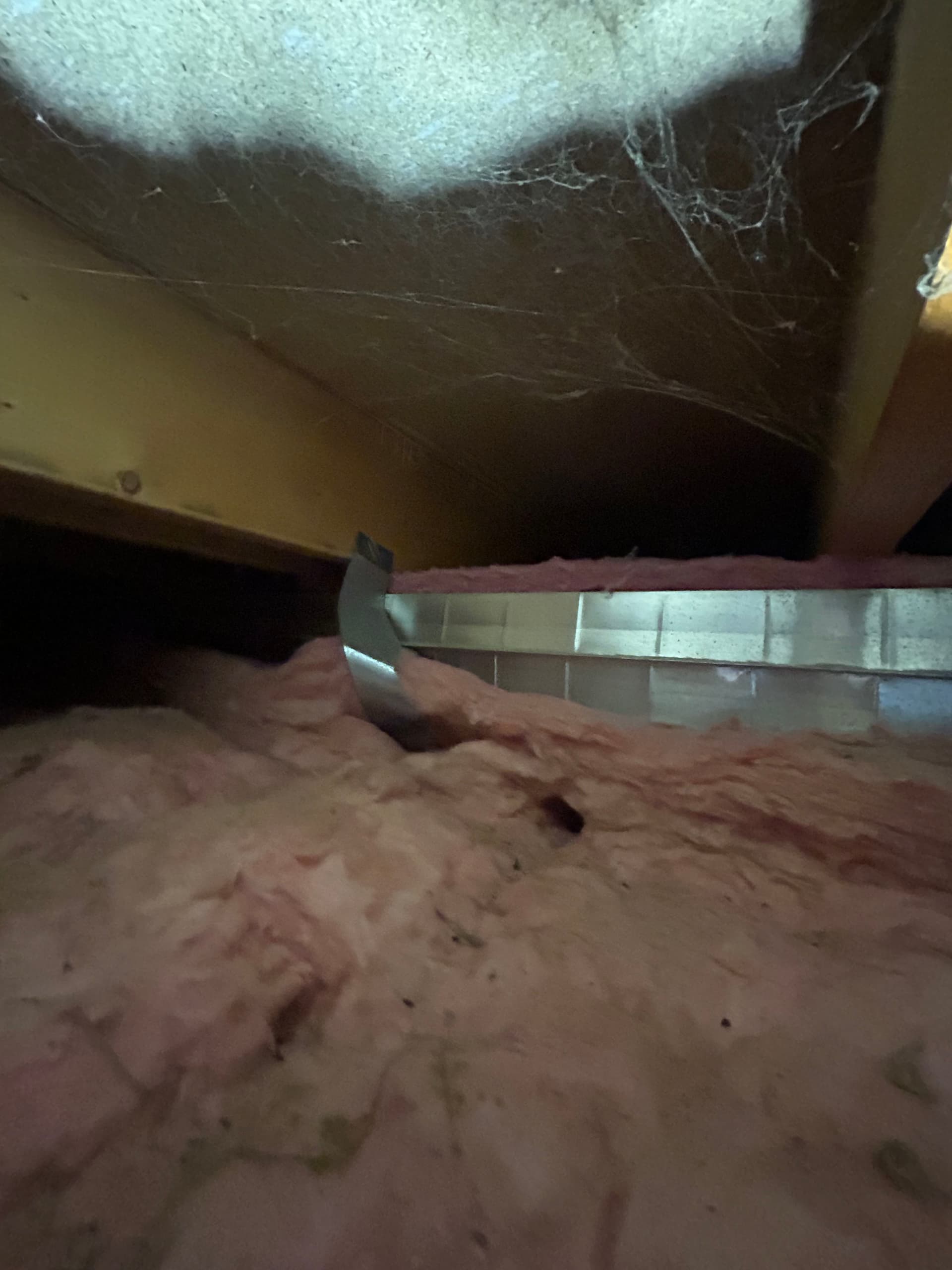 Gallery photos for What's Really Happening Inside Your Crawl Space Ductwork: Image #2