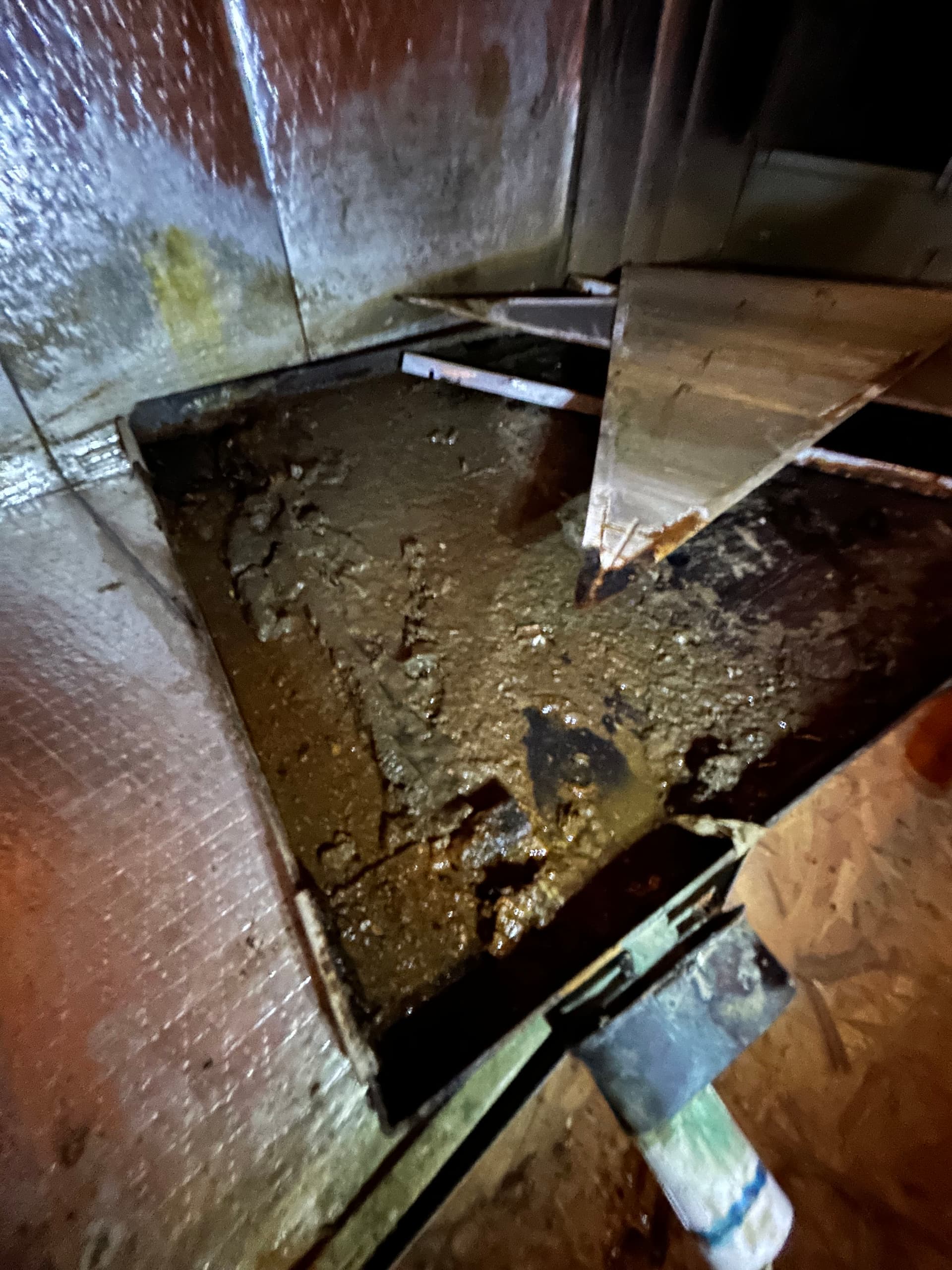 What a Neglected HVAC Coil Does to Your Indoor Air image