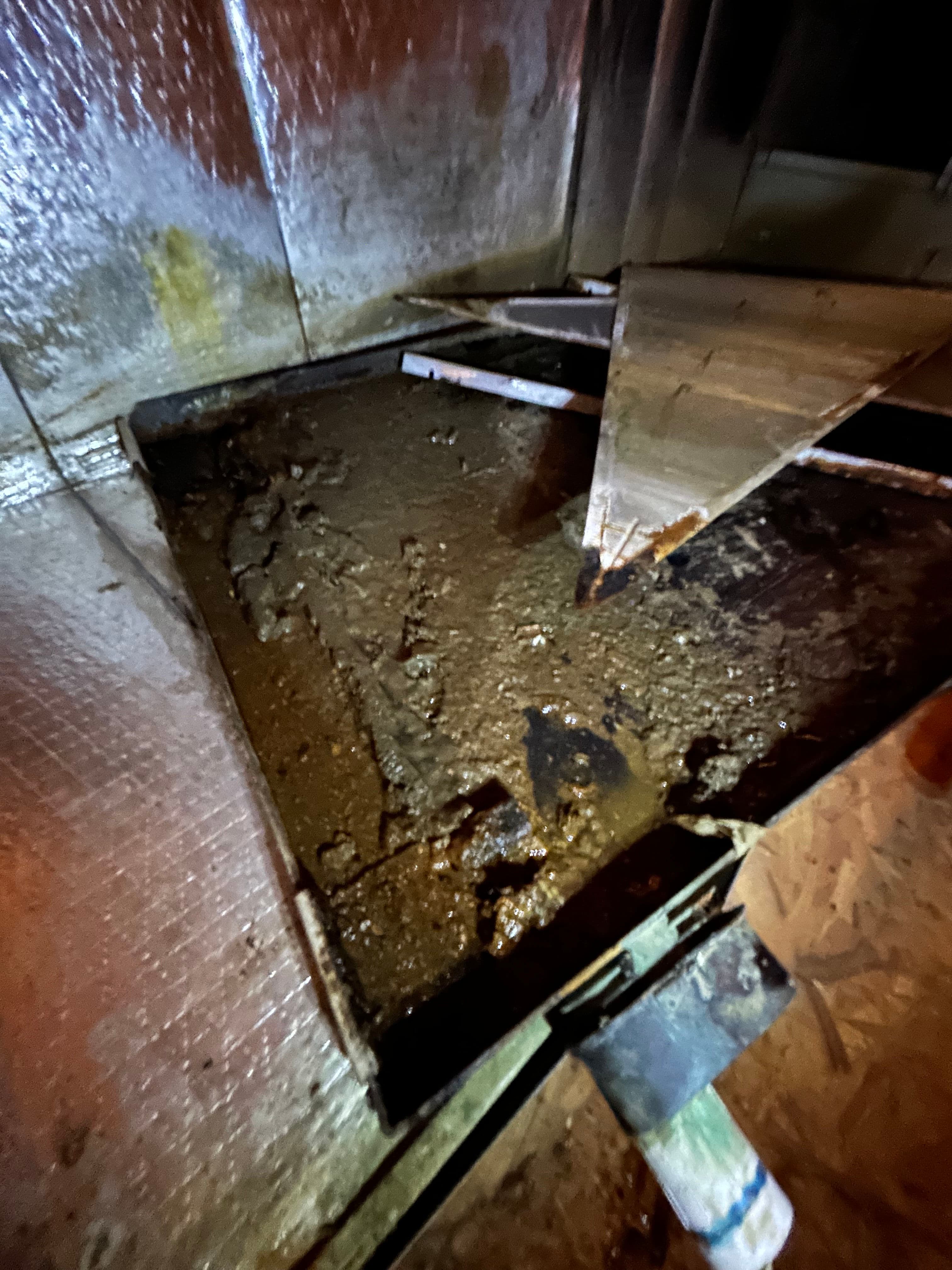 Project What a Neglected HVAC Coil Does to Your Indoor Air image