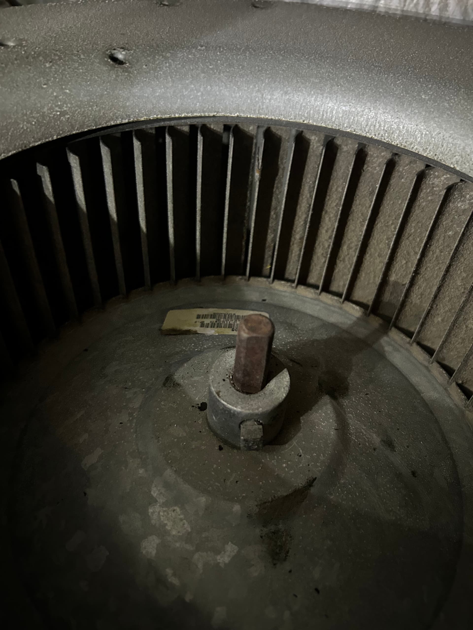 Why a Dirty Blower Motor Is Costing You More Than You Think image