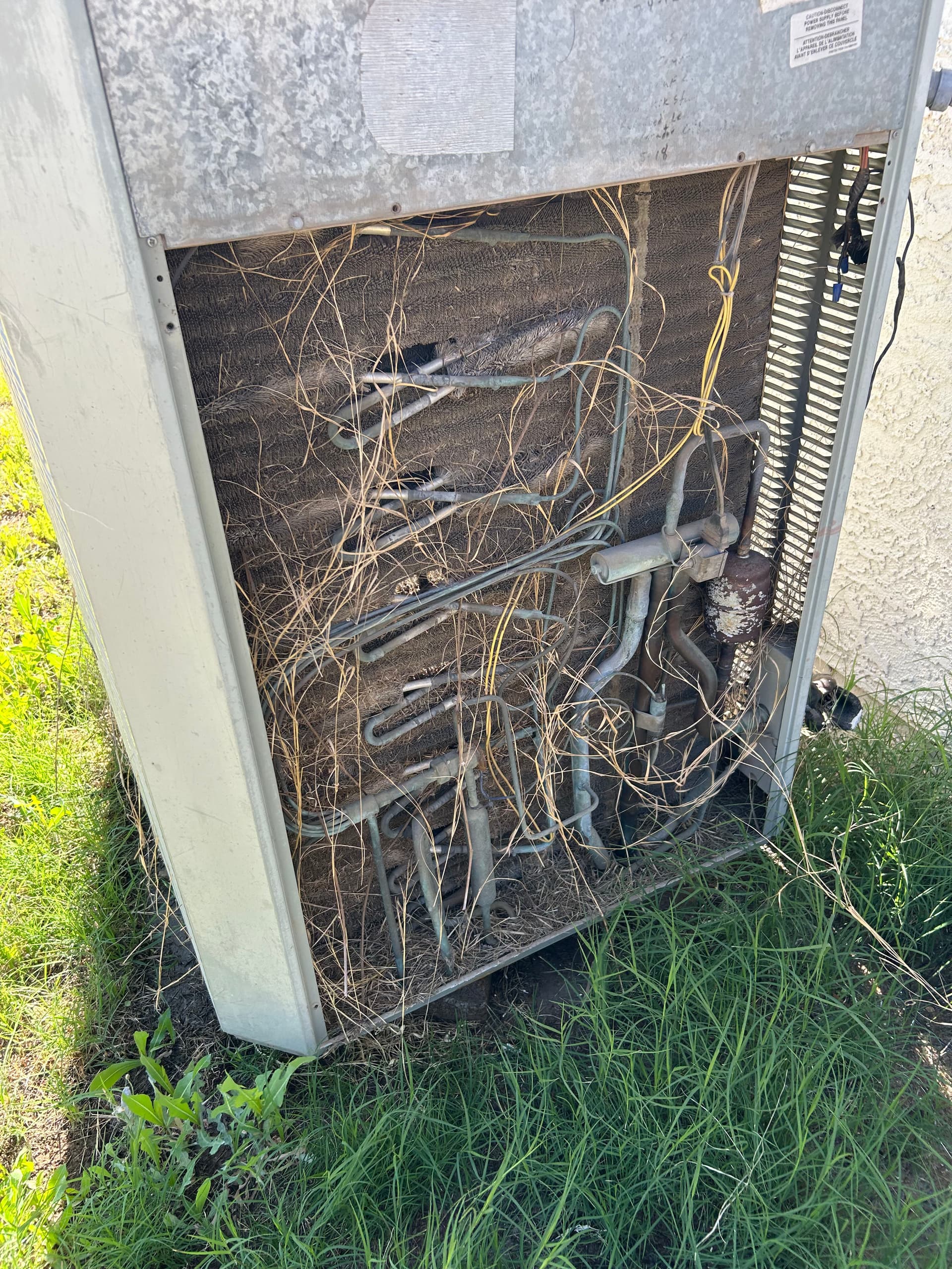 Overgrown Weeds Are Quietly Killing Your Outdoor A/C Unit image
